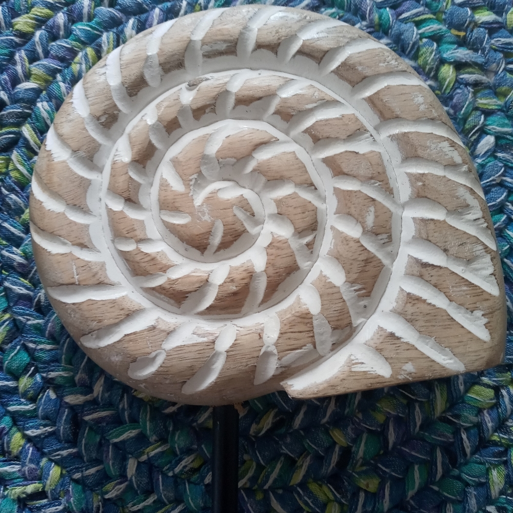 Coastal wood carved nautilus on a stand